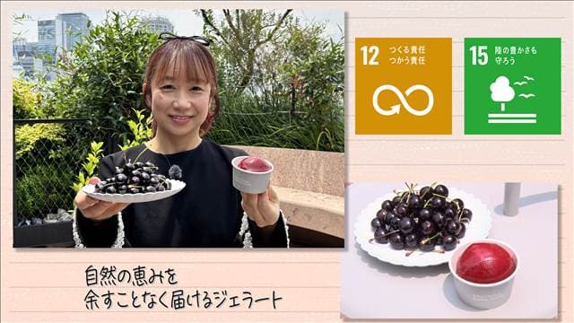 【SDGs】自然の恵みを余すことなく届けるジェラート