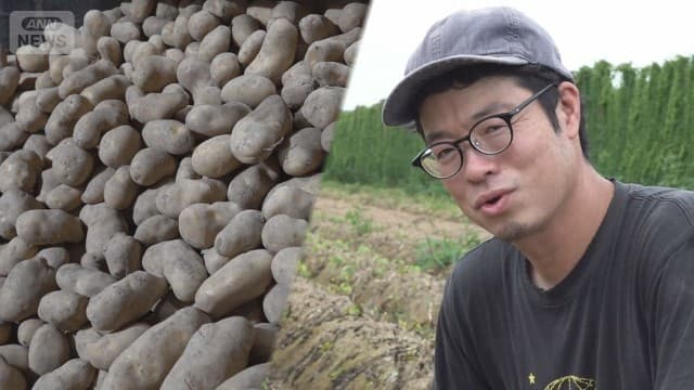 豊作なのになぜ 米ジャガイモ輸入解禁へ