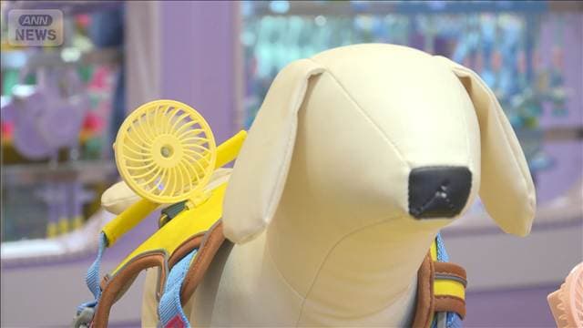夏の暑さをしのぐペットグッズが続々登場 中国でアジア最大級の用品展開催