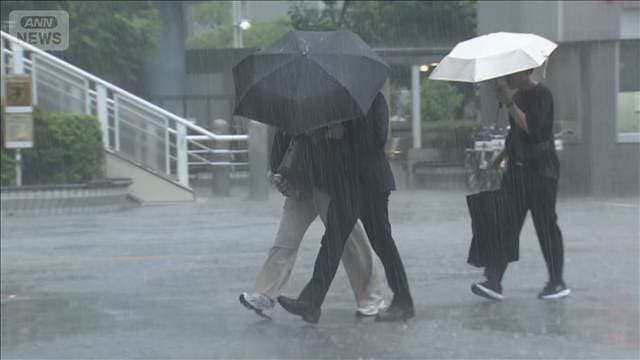 「レベル4大雨危険警報」相次ぐ 関東の局地的大雨で道路陥没も