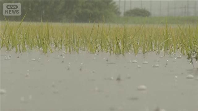 大雨被害の富山・氷見市 一部地域で孤立状態続く