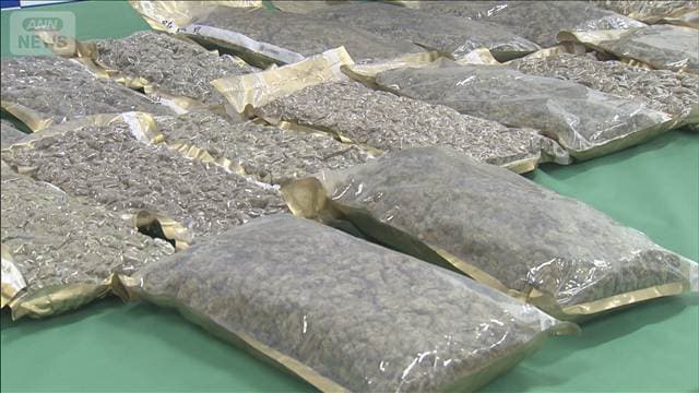 乾燥大麻約30キロを営利目的で密輸疑い 米国籍の女2人逮捕