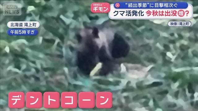 クマ活発化で今秋は出没増?“続出季節”に目撃相次ぐ ブナの実「豊作」予測も注意!