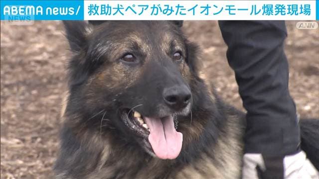 災害救助犬ペアがみた爆発現場 熊本地震