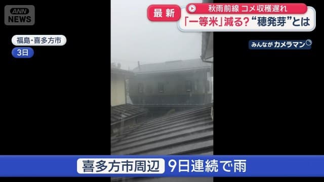 秋雨前線の影響でコメ収穫遅れ 「一等米」減る? 収穫に水を差す“穂発芽”とは