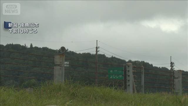 関越道でトラックなど3台絡む事故 4人死傷 新潟・南魚沼市