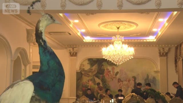 黄金のトイレ“まるで宮殿”のような詐欺拠点 日本人ら14人拘束