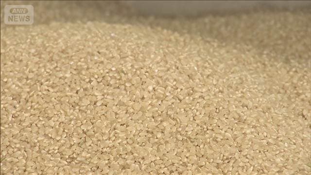 政府備蓄米 21万t買い戻し成約 今後も需給状況見ながら実施へ
