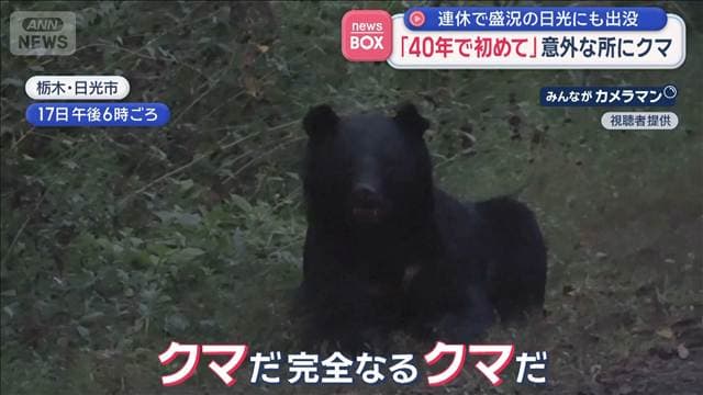 「40年で初めて」意外な所にクマ 連休で盛況の日光にも出没