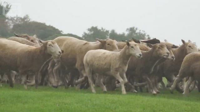 シルバーウィーク最終日 “秋”感じる列島 観光地にぎわう