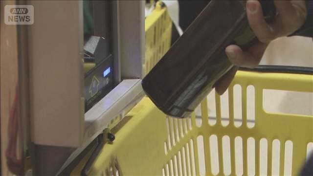 消費減税のレジ改修 350万円補助へ