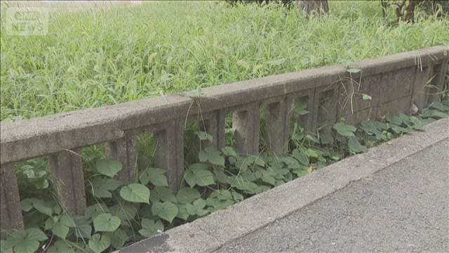 「大丈夫か」と声かけ 100万円強盗 大阪