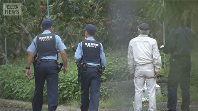 鳥取県の果樹園でトラクターが横転 下敷きになった61歳男性死亡