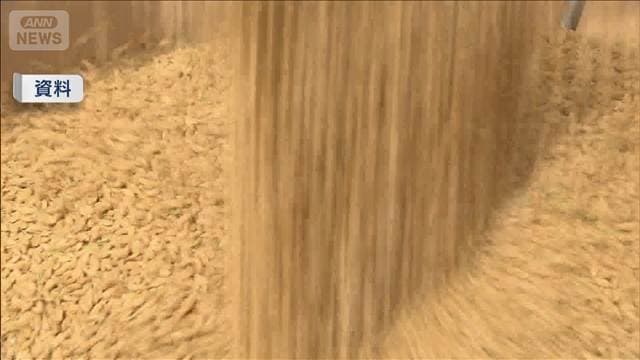 今年の新米 「1等」比率は例年並み