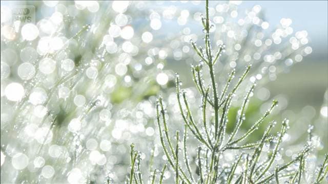 秋晴れの空「山粧う」 全国の約6割で今季一番の冷え込み