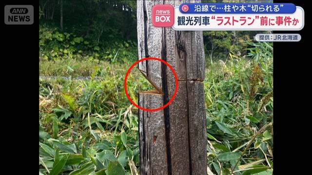 沿線で柱や木“切られる” 観光列車“ラストラン”前に事件か