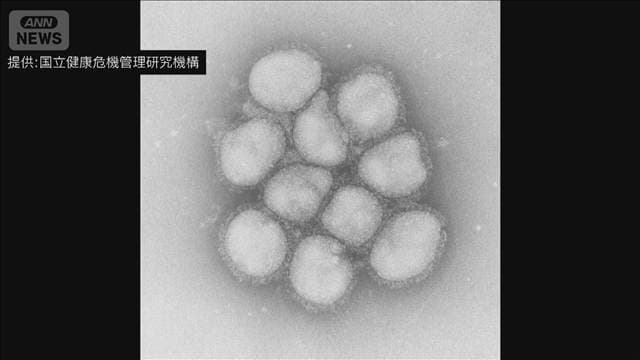インフルエンザ早期の流行 専門家「コロナでの免疫状態の変化が影響」