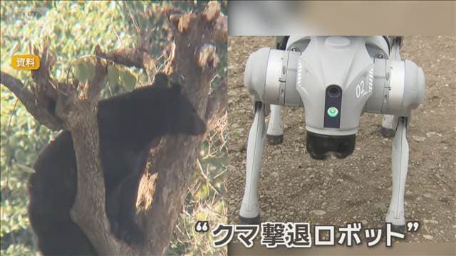 クマ対策に高校生立ち上がる 四足歩行の撃退ロボ作成 大音量発し催涙スプレー噴射