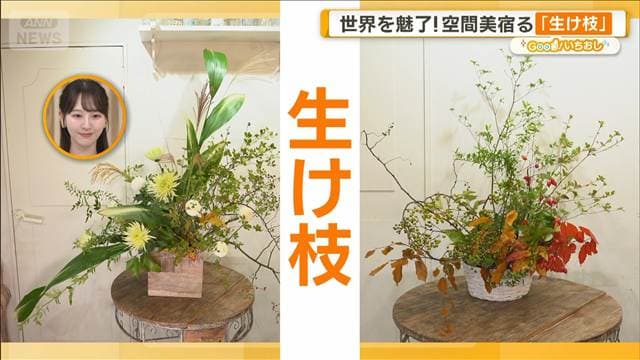 世界を魅了「生け枝」とは プロ直伝の術 サブスクは会員1万人超【グッド!いちおし】