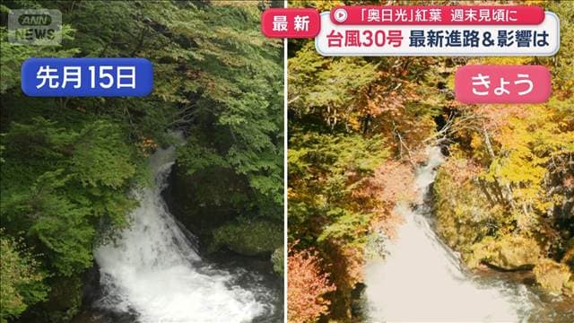「奥日光」紅葉 週末見頃に 台風30号 最新進路&影響は