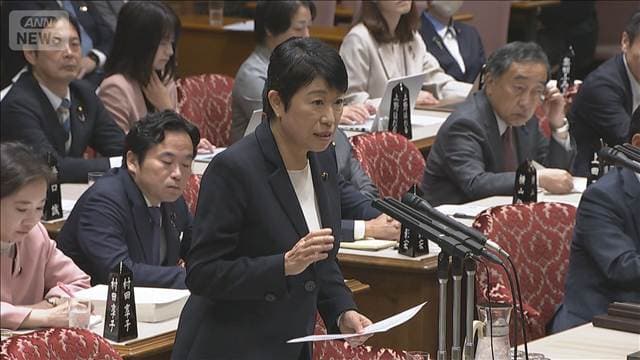 「減税より給付を」野党が主張 参院予算委