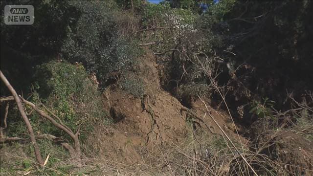 台風25号からまもなく1カ月 神奈川は特産品の農作物にも大打撃