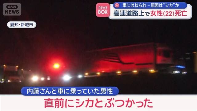 車にはねられ…原因は“シカ”か 高速道路上で女性(22)死亡