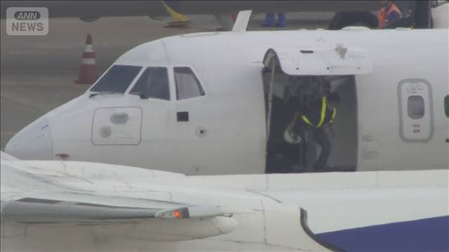 旅客機のコックピットで発見の小動物 行方わからず「安全運航に支障の恐れ」と欠航に