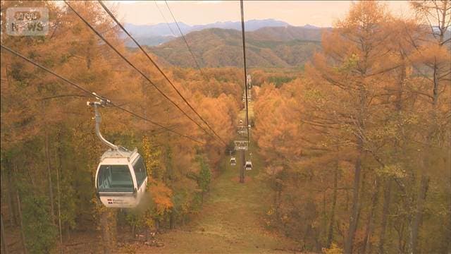 ゴンドラから楽しむ秋の空中散歩 「ハンターマウンテン塩原」で紅葉が見ごろ
