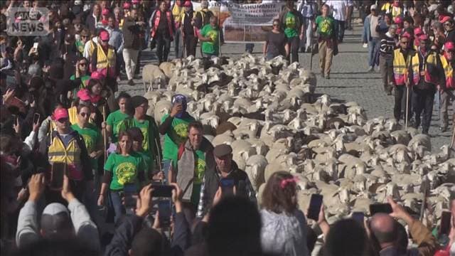 都会を大行進 異例の迂回ルート 住宅高騰の抗議デモで影響を受けたのは? スペイン