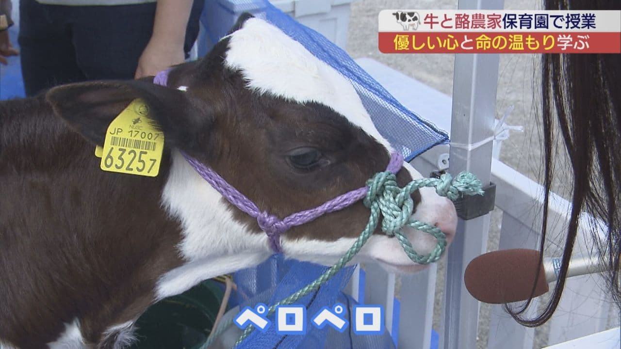 先生は牛⁉ 園児たちに命のぬくもり伝える出張授業