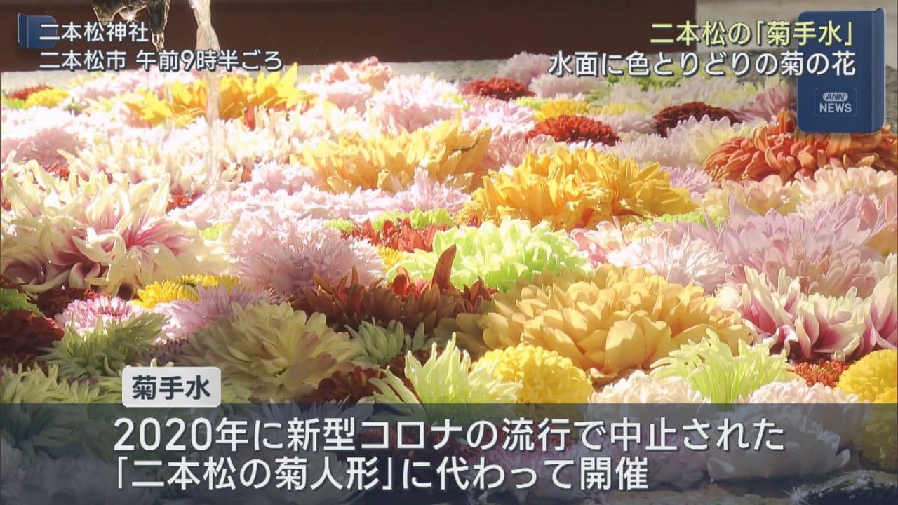 二本松市で「菊手水」始まる