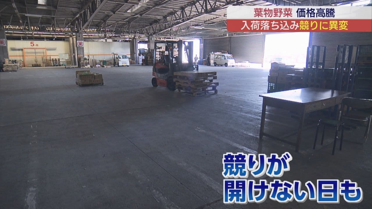 葉物野菜の高騰 市場では競りが開けない日も