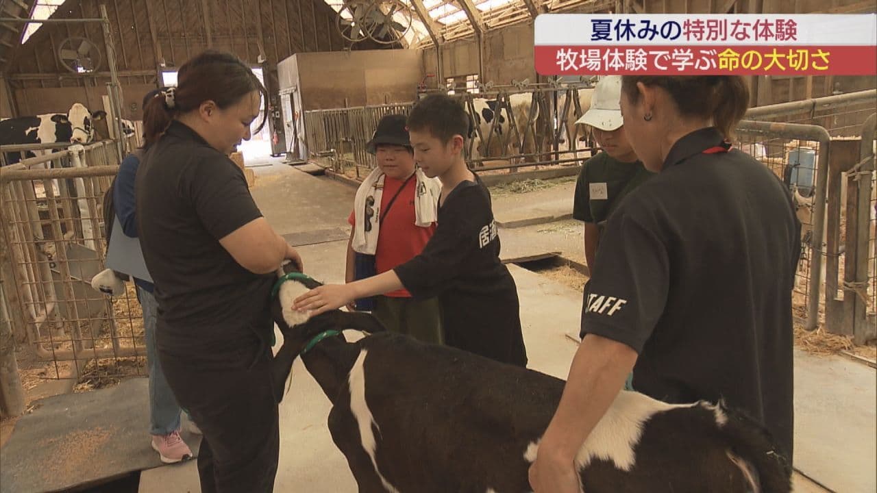 「牛さんに感謝!」 小学生が牧場体験