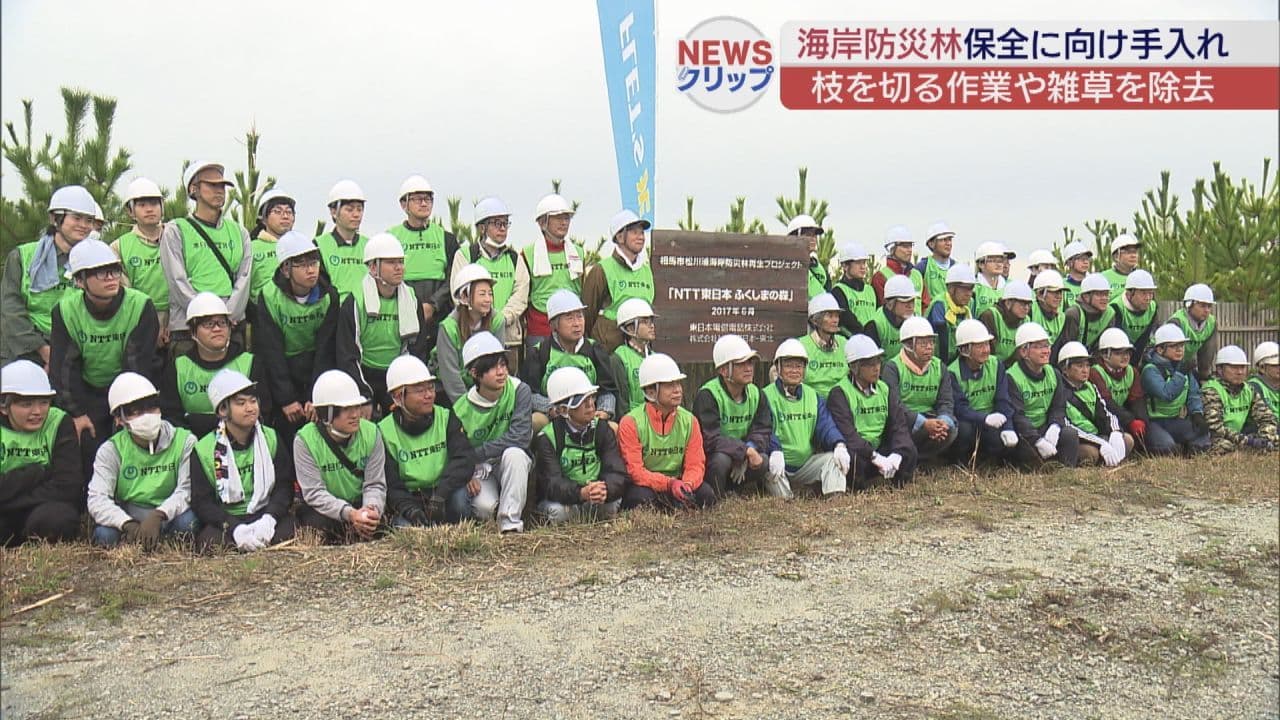 松川浦の海岸防災林を手入れ NTT東日本の社員や家族ら約60人が参加 福島・相馬市