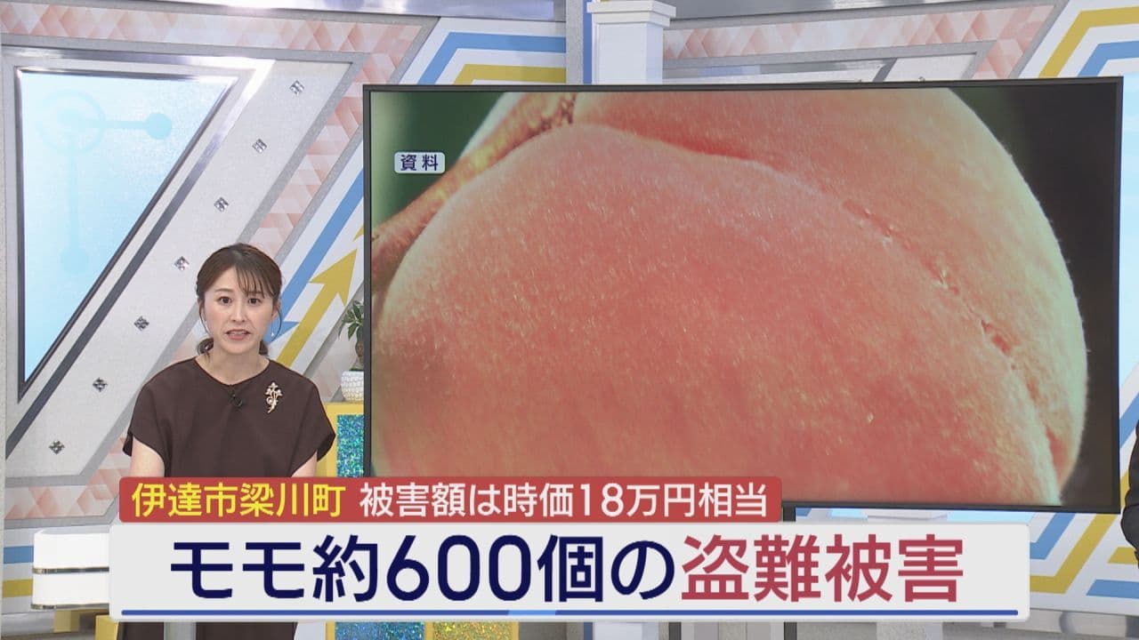 収穫前のモモ約600個盗まれる 伊達市梁川町