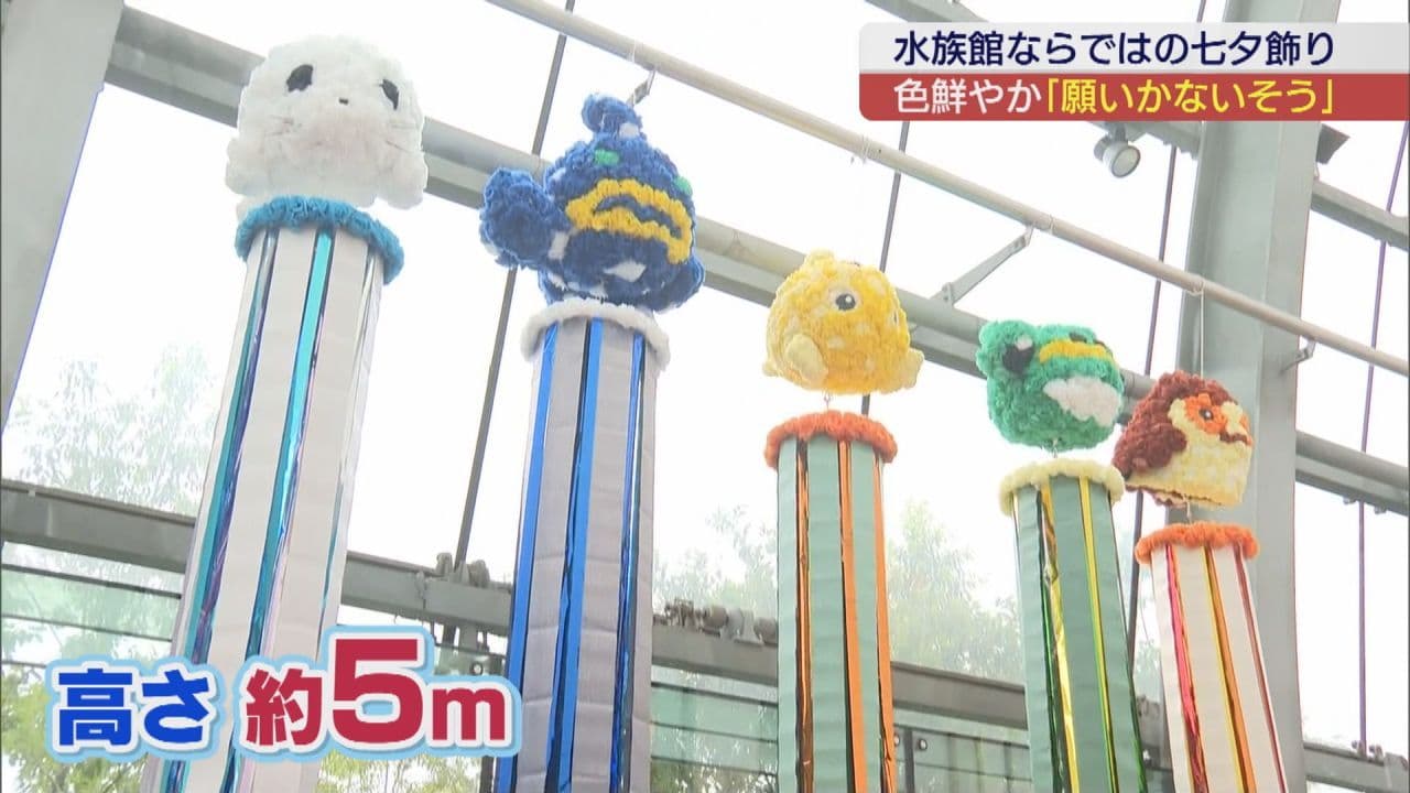 あなたの願い事は?7月7日は「七夕」 意外なアンケートの調査結果も