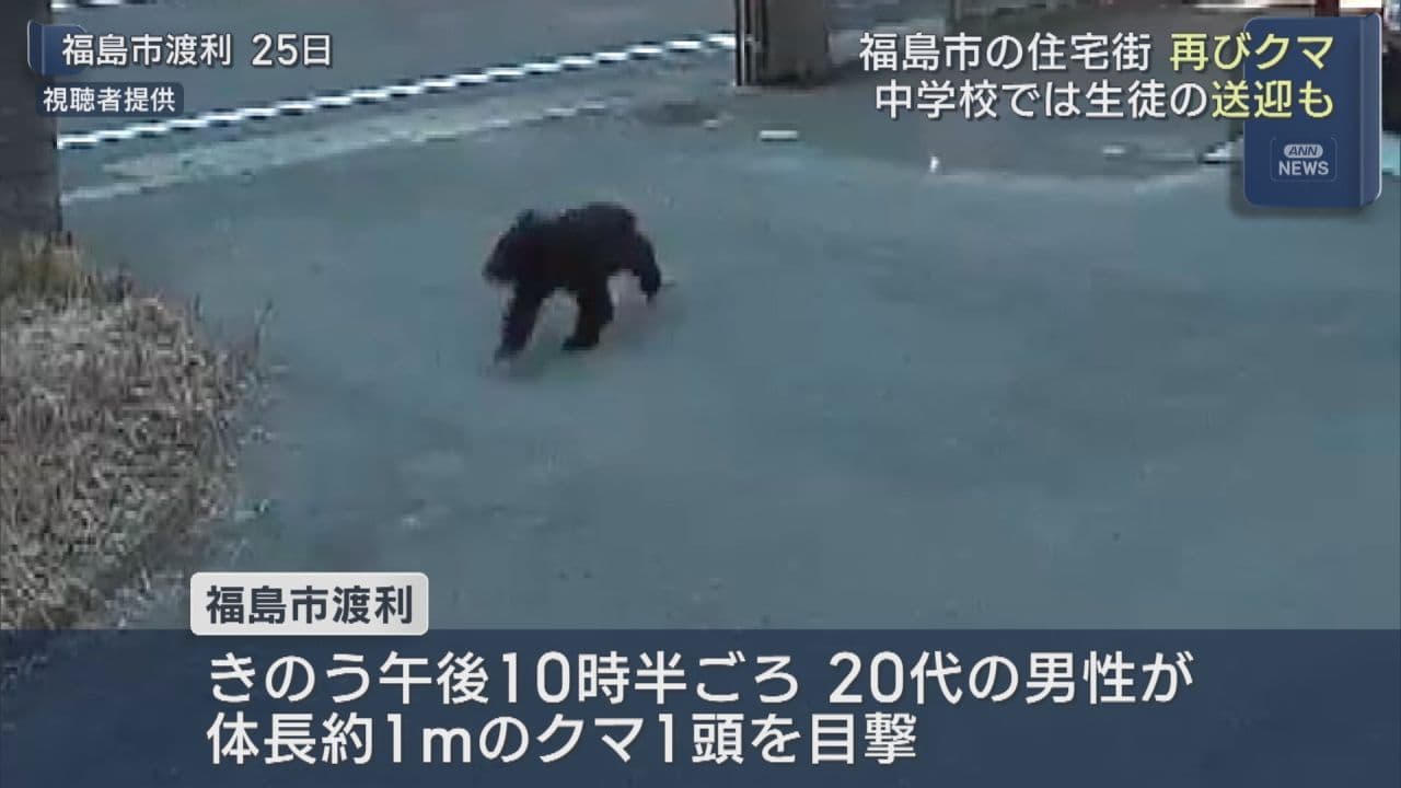 福島市渡利でクマ相次いで目撃 現場近くの中学校は送迎依頼、屋外活動中止