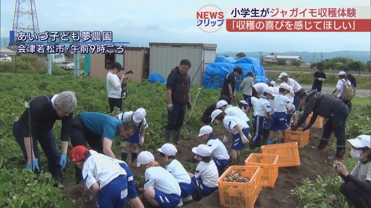 小学生が春に植えたジャガイモを収穫!会津若松市で農業体験