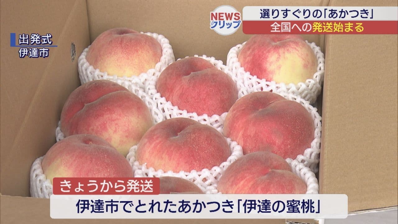 ふるさと小包 県産モモの第一便が出発