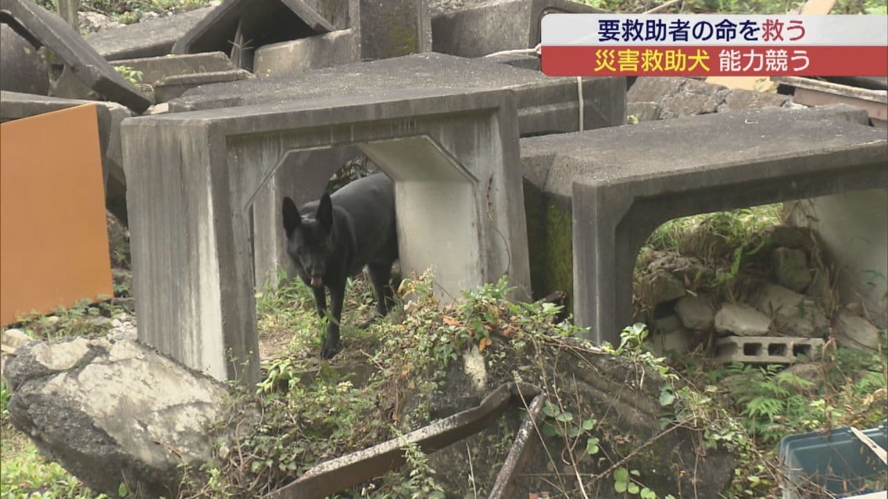 被災地で活躍“災害救助犬”能力競う大会が西郷村で開催 福島