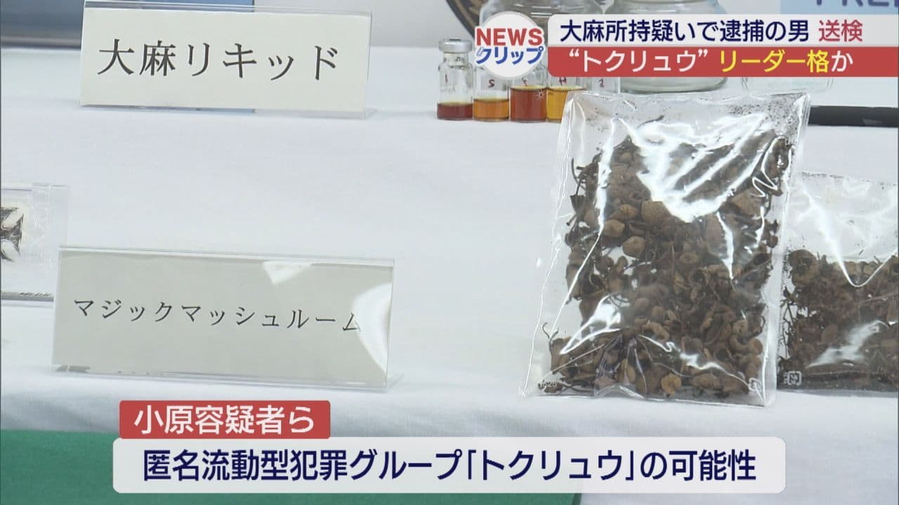 大麻所持で逮捕の男 トクリュウのリーダー格か