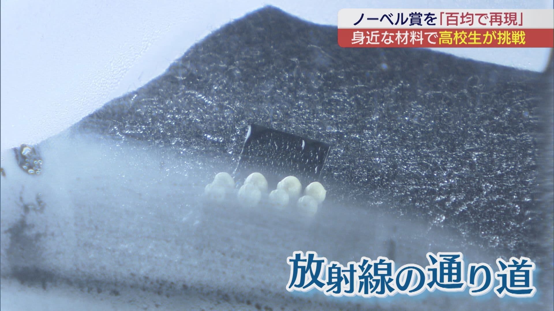 百均の材料でノーベル賞の発明を「再現」? 高校生が実験に挑戦