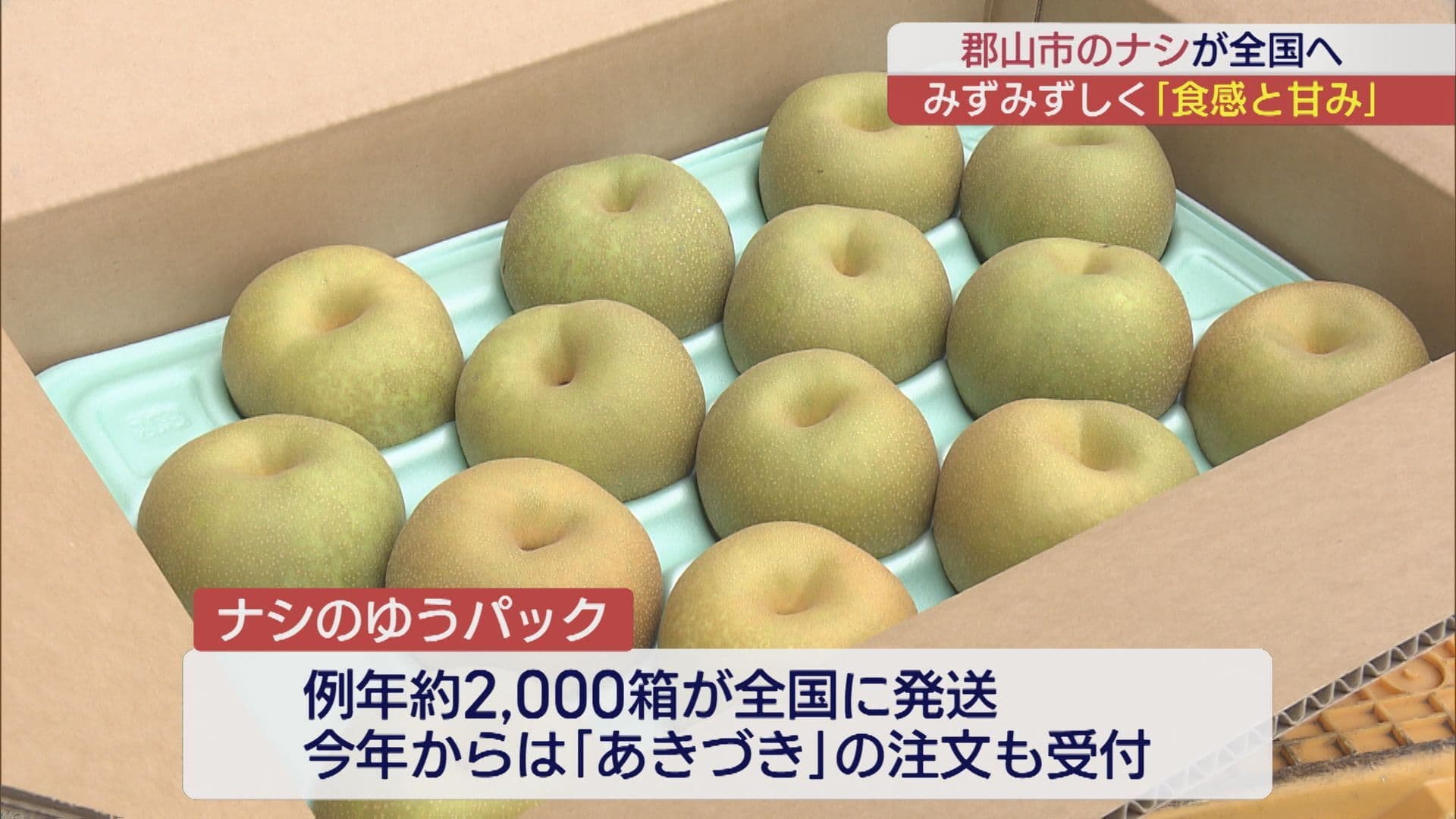 秋の味覚 郡山のナシ ゆうパックでの発送始まる