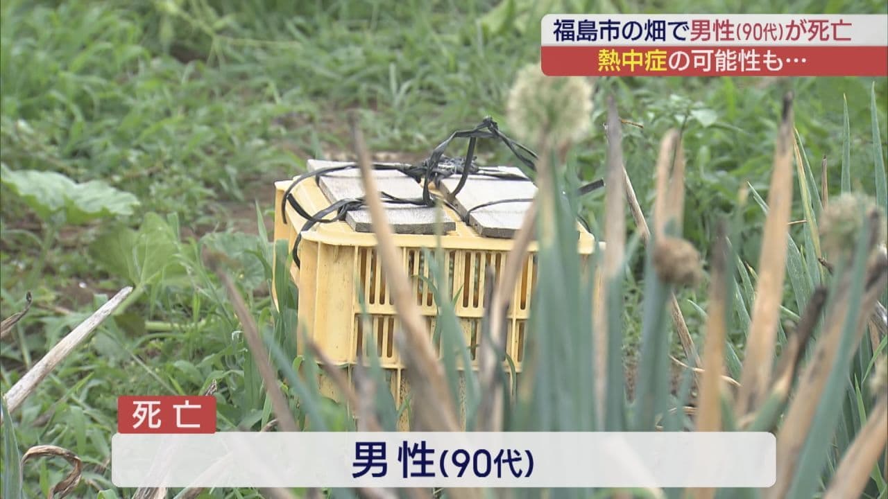 畑作業中の90代男性死亡 福島県内各地で真夏日