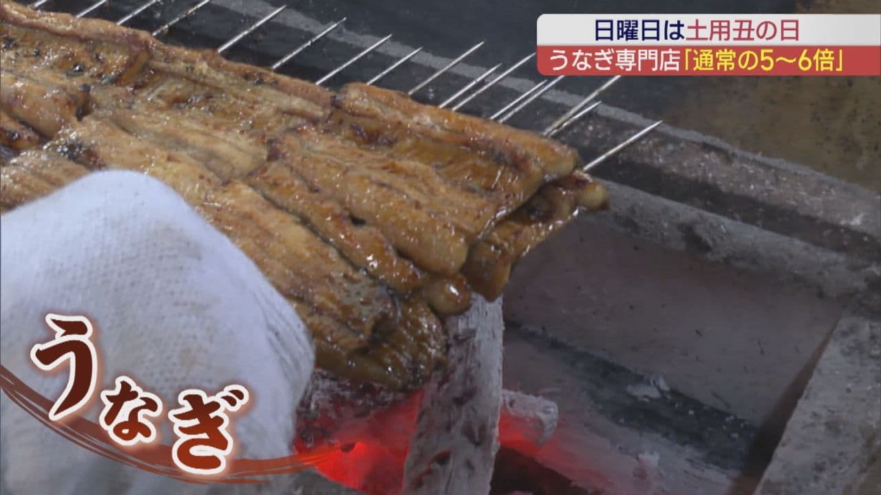 もうすぐ土用の丑の日!うなぎが安いワケとは?