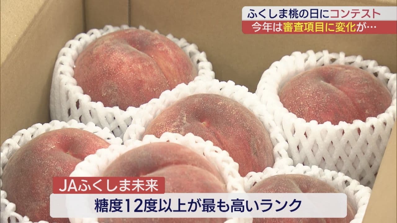「天下一武桃会」開催!甘さで競う福島のモモ、今年の頂点は糖度○○度