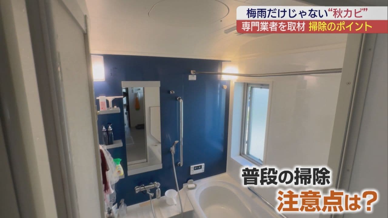 梅雨だけじゃない!秋に増える家のカビ エアコンや風呂場掃除のポイントは?