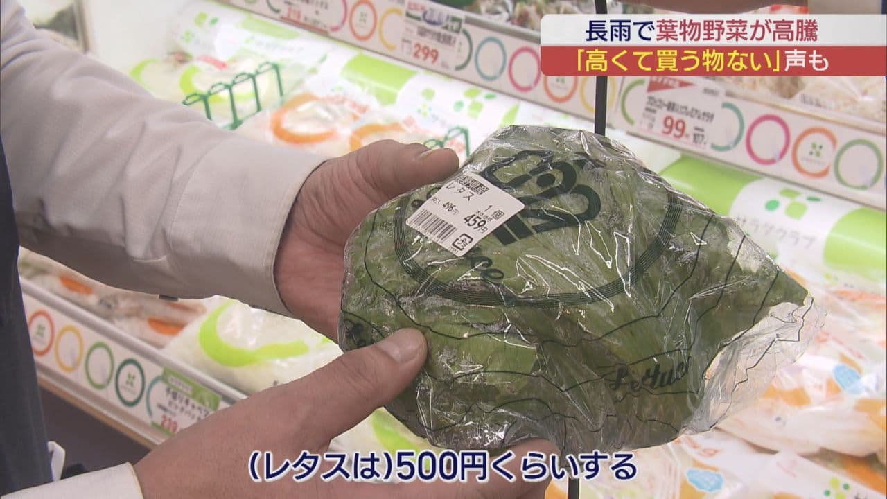 野菜価格の高騰 葉物野菜最大で8割超