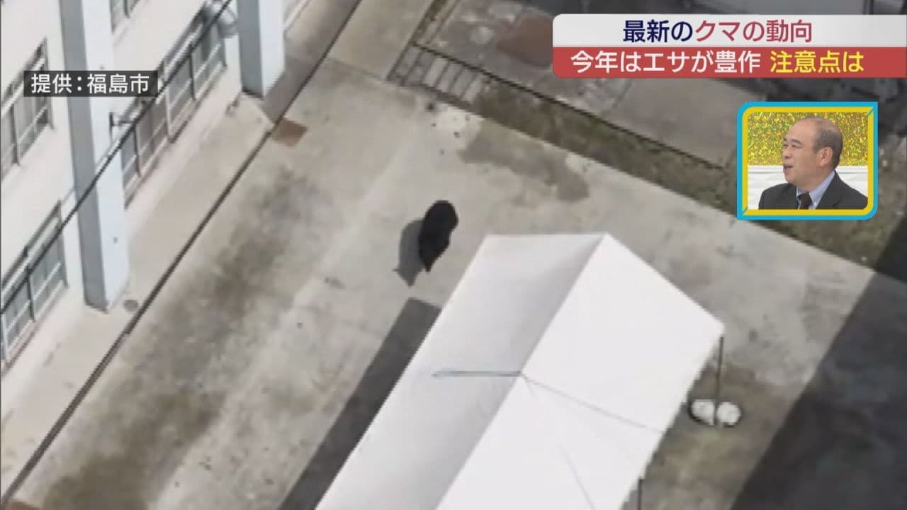 【クマ注意!】出没3割増“最新”クマの動向は?セミナーも開催“樋口アナ”スタジオで解説
